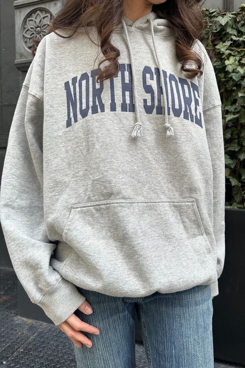 Sweat a Capuche Brandy Melville Christy North Shore Grise | BJQ-04775162